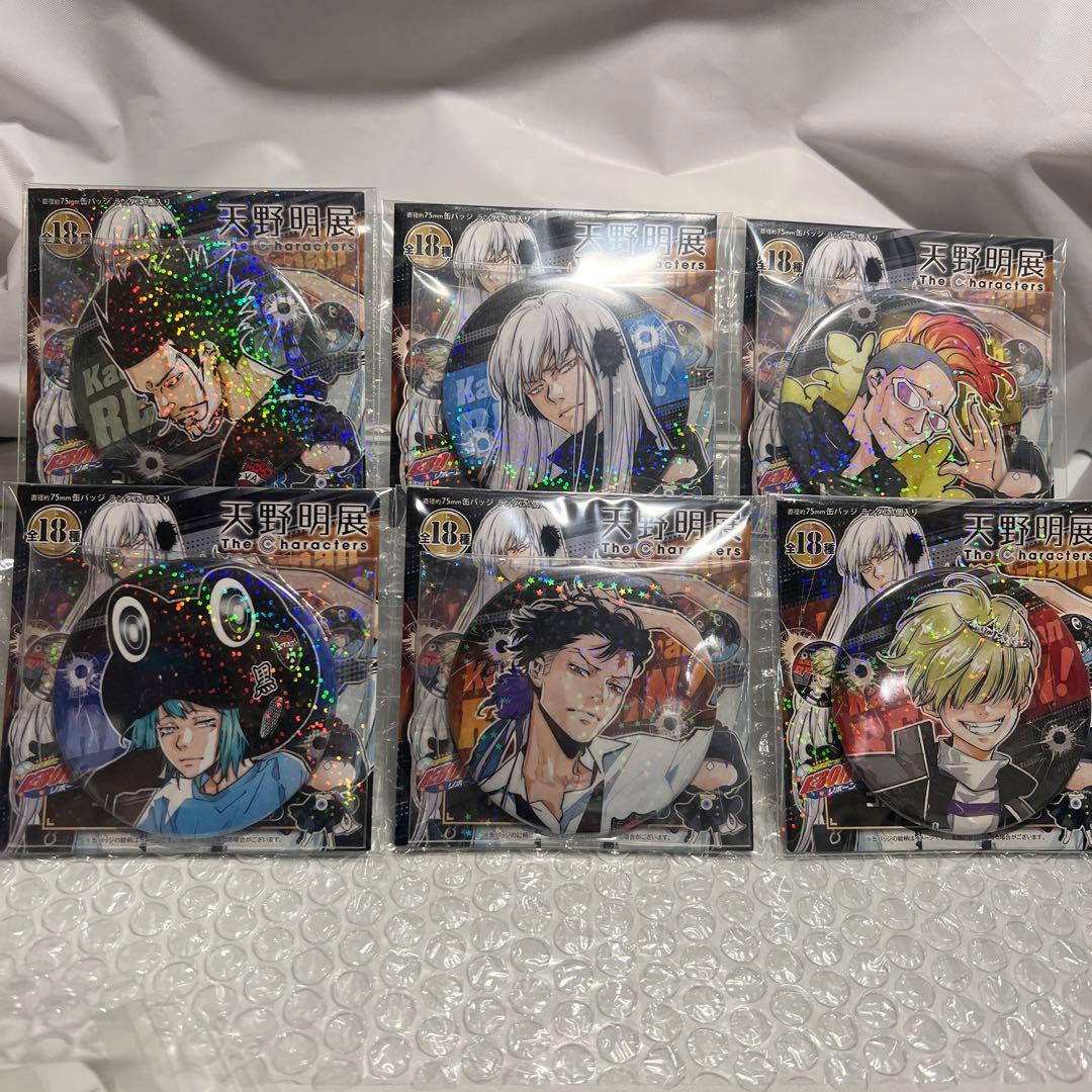 大幅値下げ天野明展 家庭教師ヒットマンREBORN! 缶バッジコンプセット36個