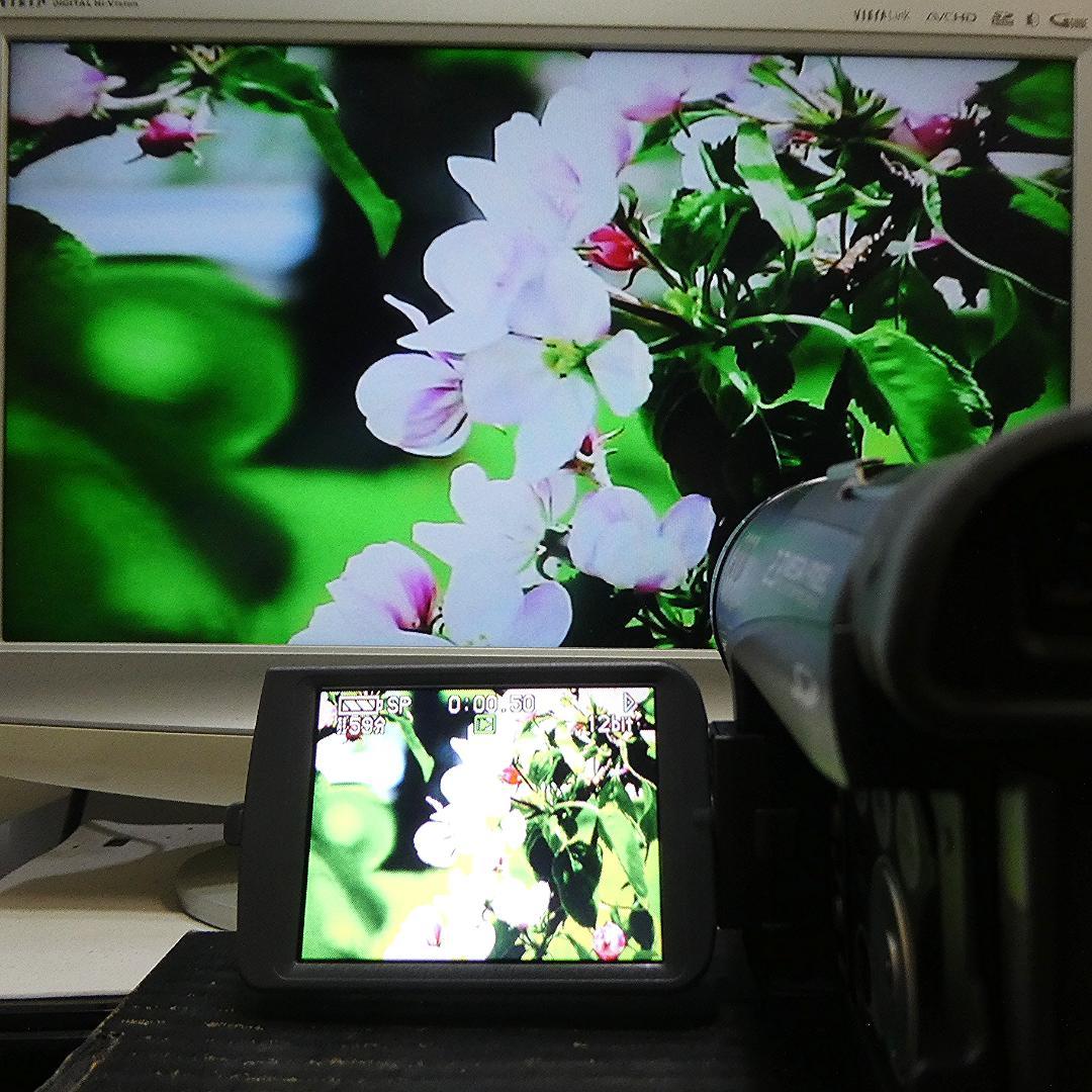 美品・動作良好 パナソニックNV-GS200 MiniDVビデオ　DVD化に最適