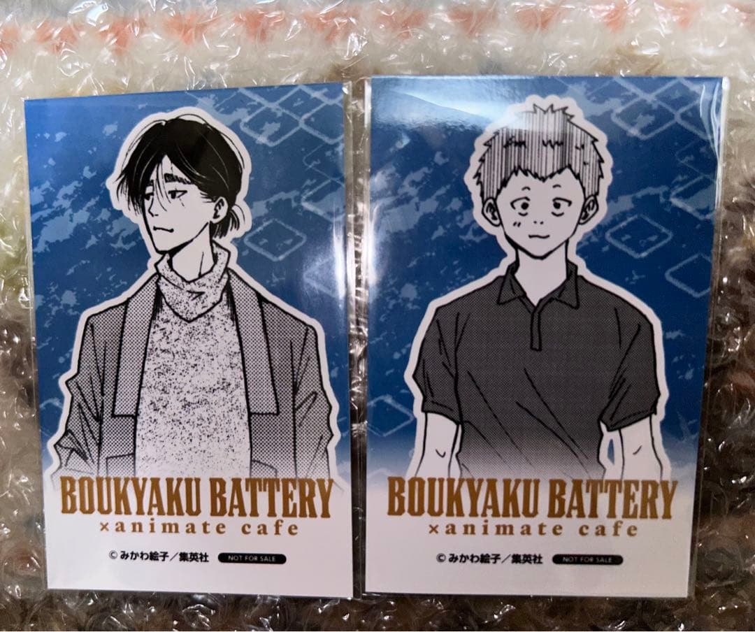 カラマリ オトガ コースター 契、峰雄