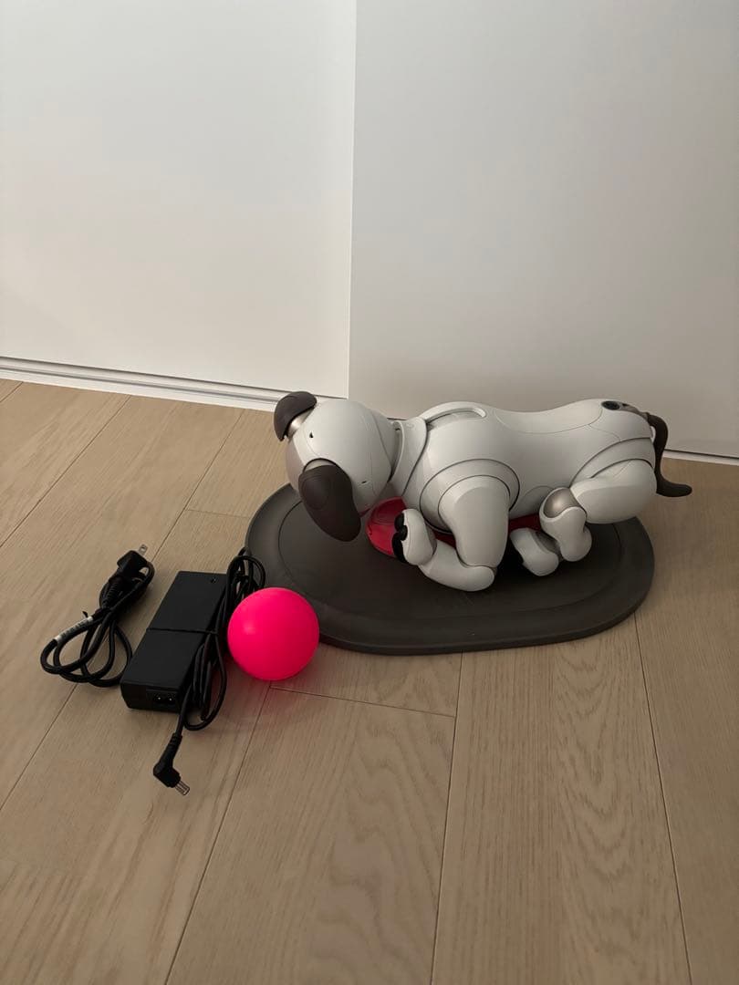 アイボ aibo ERS-1000 SONY aibo ERS-1000