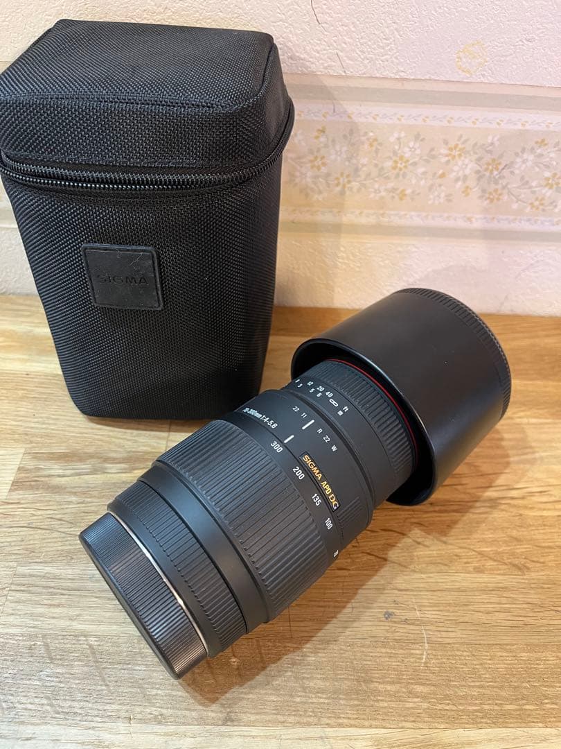 SIGMA 70-300mm DG APO MACRO キャノンEF用レンズ SIGMA 70-300mm F4