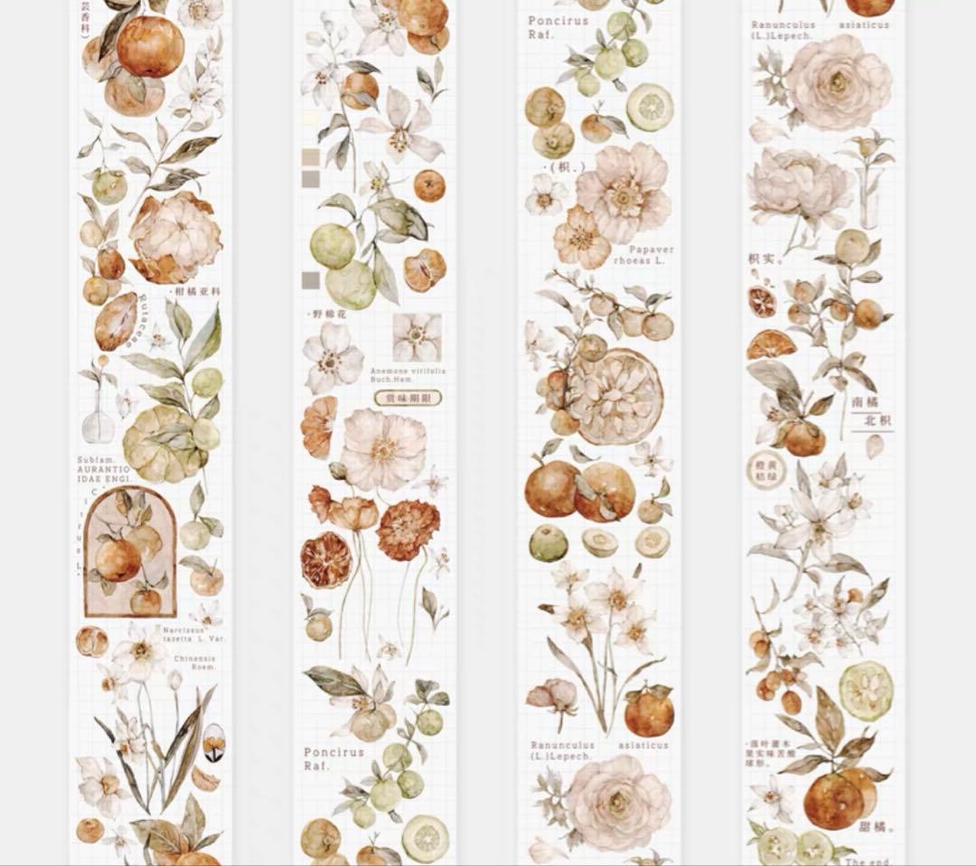 ⭐️SALE⭐️ 雀斑茶《橘枳》海外マスキングテープ　マステ 【1336】