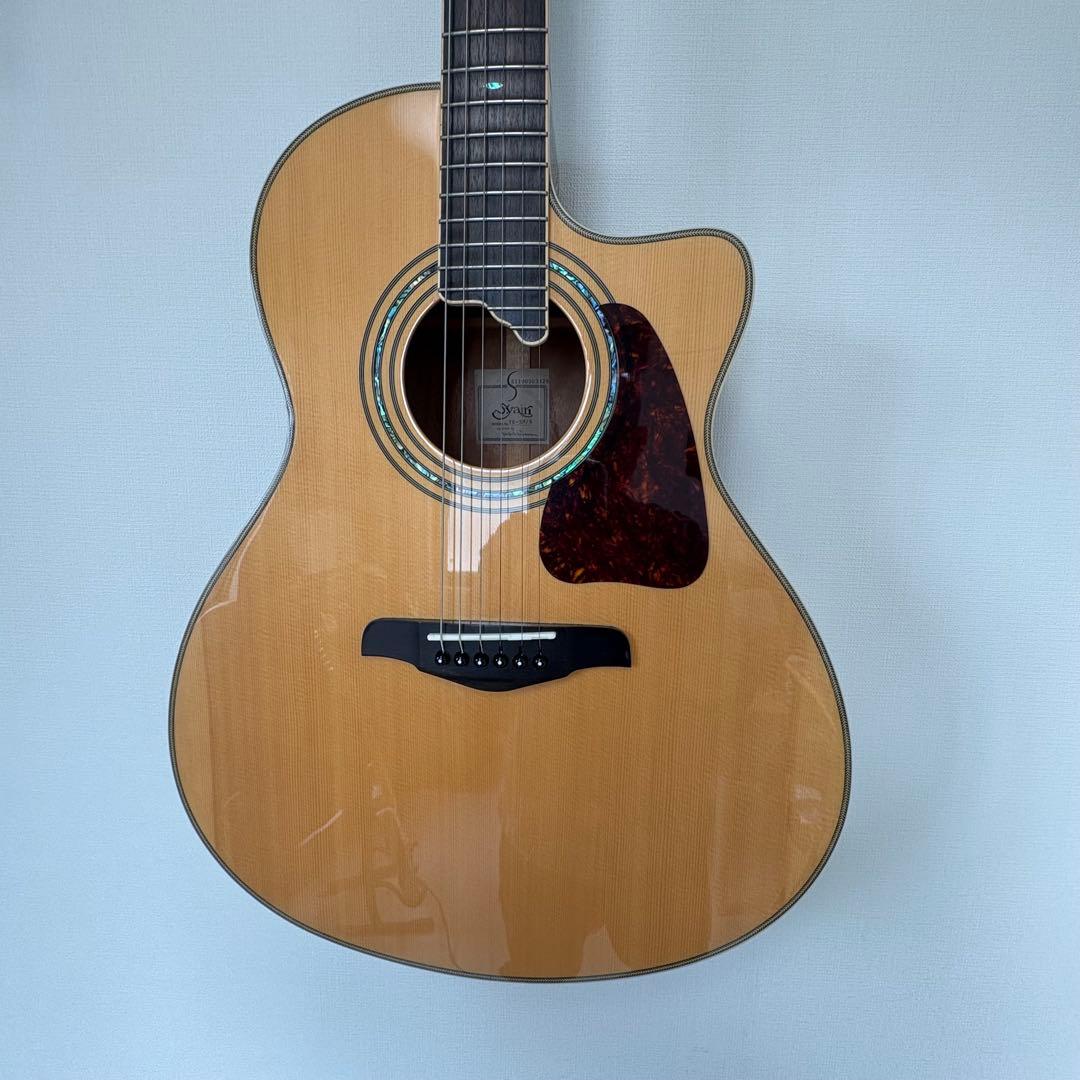 Yairi アコースティックギター Fishman搭載　YE-5M YE-5M/AM / カラー：アンバー / S.yairi（エスヤイリ） / エレアコ