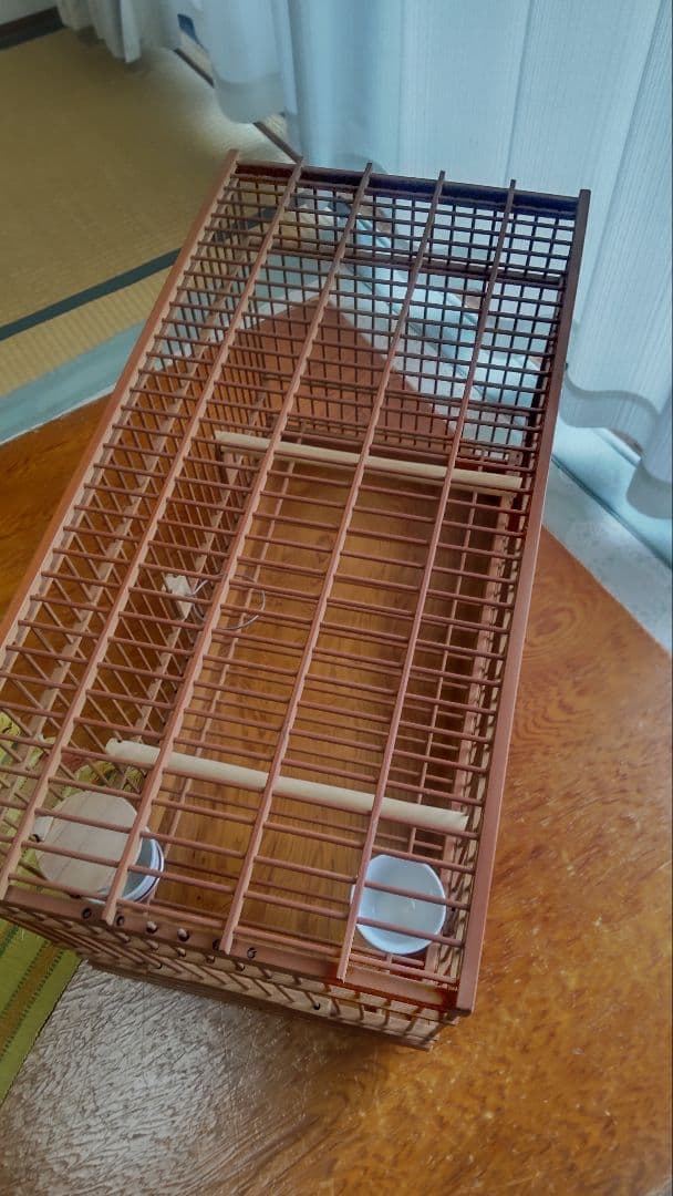 メジロ、ウグイス和鳥籠 竹製手作り