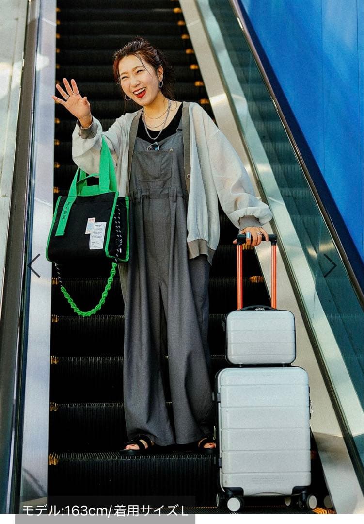 自作茶杓 瑞雲 二重箱 鵬雲斎花押の逸品 s270 表千家十三代即中斎 竹茶杓