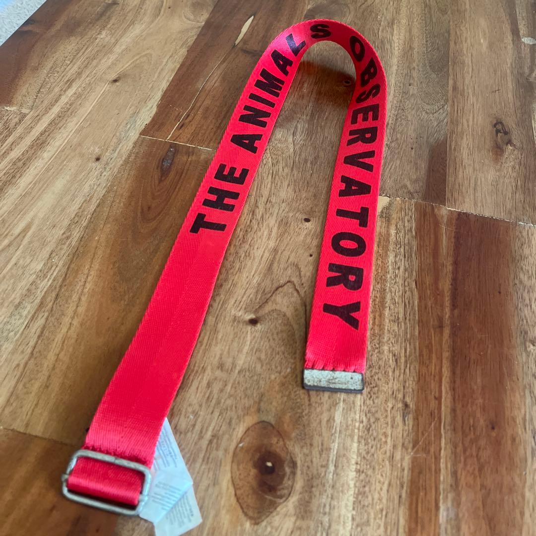 THE ANIMALS OBSERVATORY 赤ベルト - メルカリ