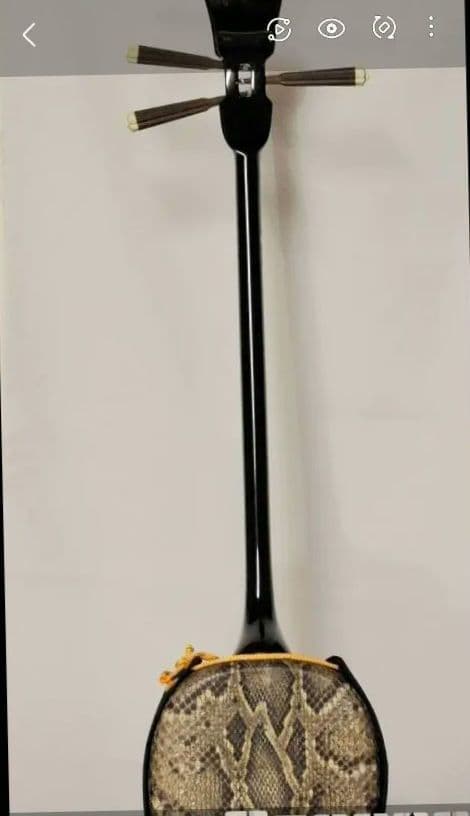 三線 サンシン本体 本皮 金色装飾付き 三線 サンシン本体 本皮 金色