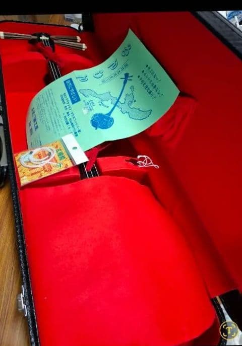 三線 サンシン本体 本皮 金色装飾付き 三線 サンシン本体 本皮 金色