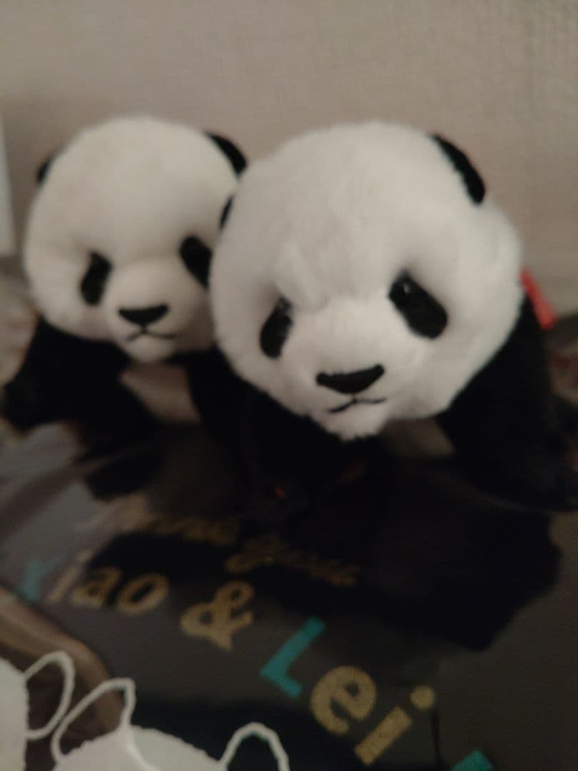 上野動物園　パンダぬいぐるみとＴシャツ