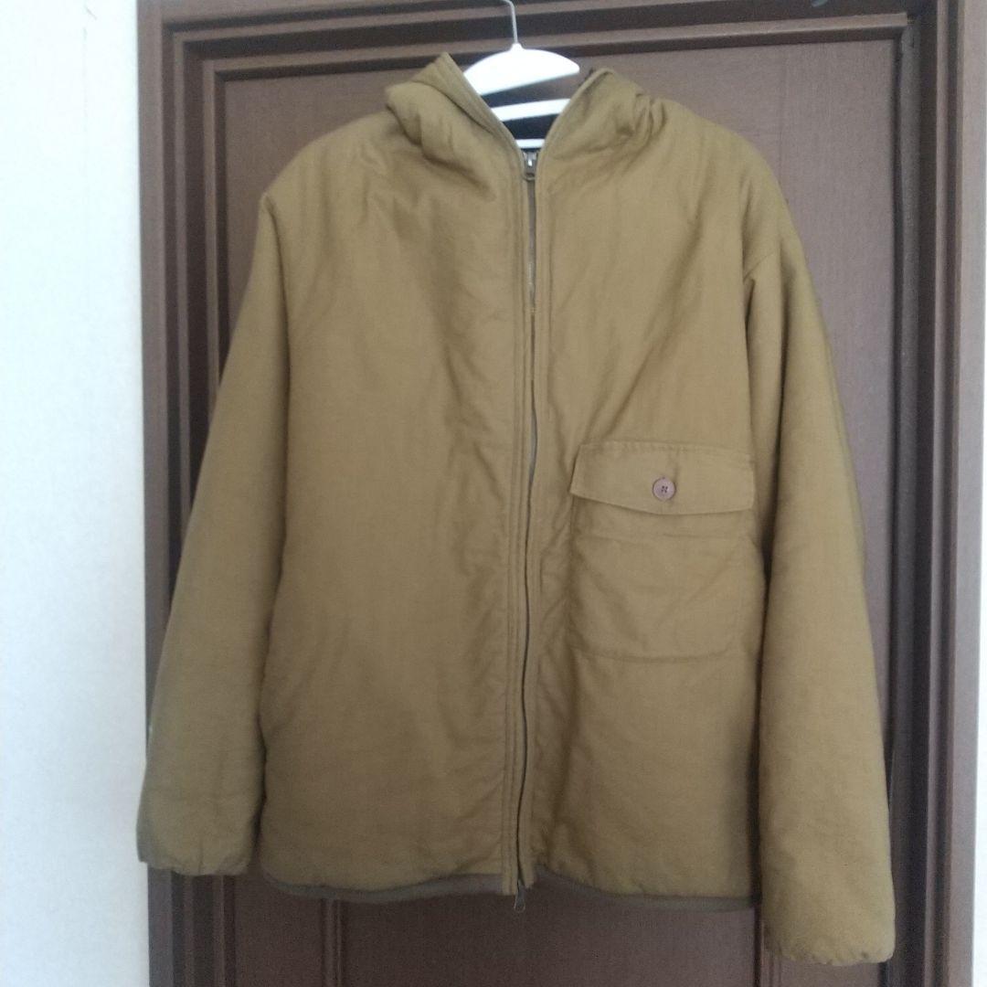 ヒッコリーの植林地 Hickory Woodlot 日本語 foil MTG