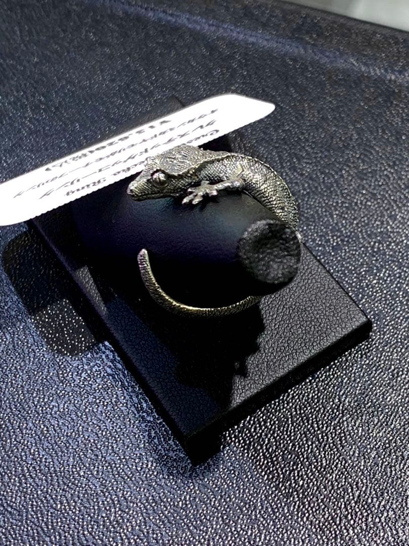 コールドアイズ　クレステッドゲッコー 15号　爬虫類 コールドアイズクレステッドゲッコー 15号爬虫類