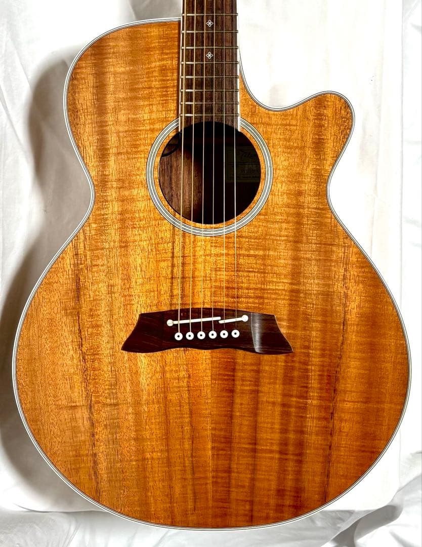 ハワイアンコア】Takamine エレアコ PTU108K N 日本製