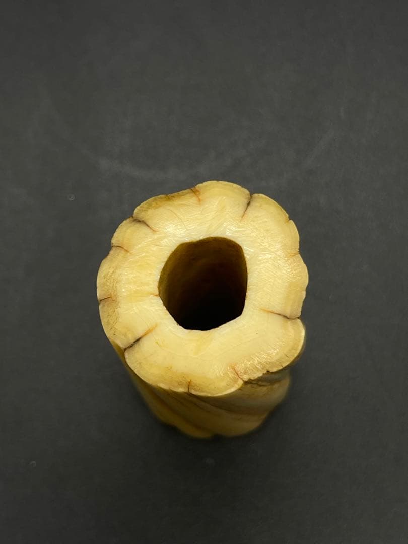 江戸時代 古い 一角 イッカク 鯨歯 根付 蓋置 骨董古美術 - メルカリ