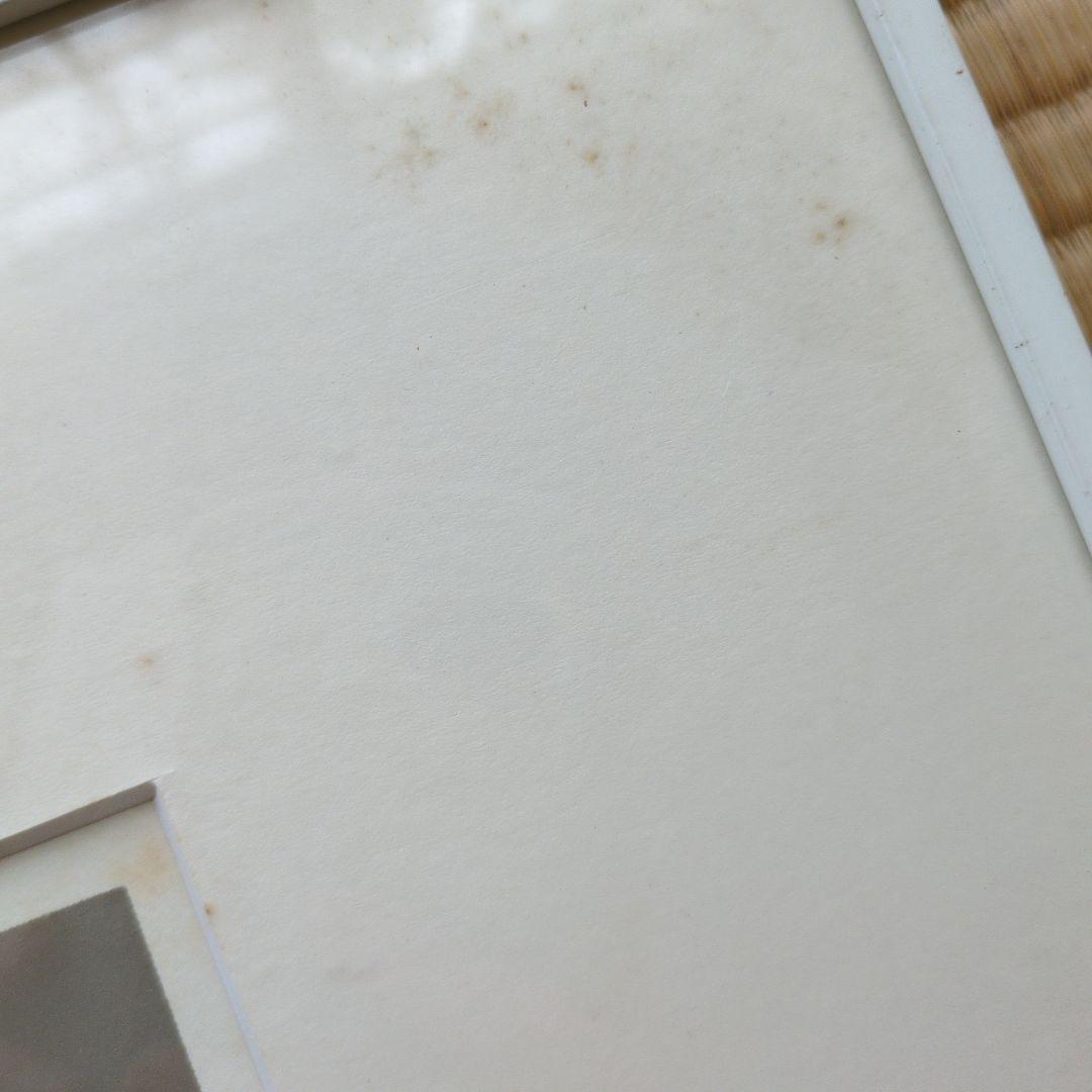 井上公三額縁付き金色の葉