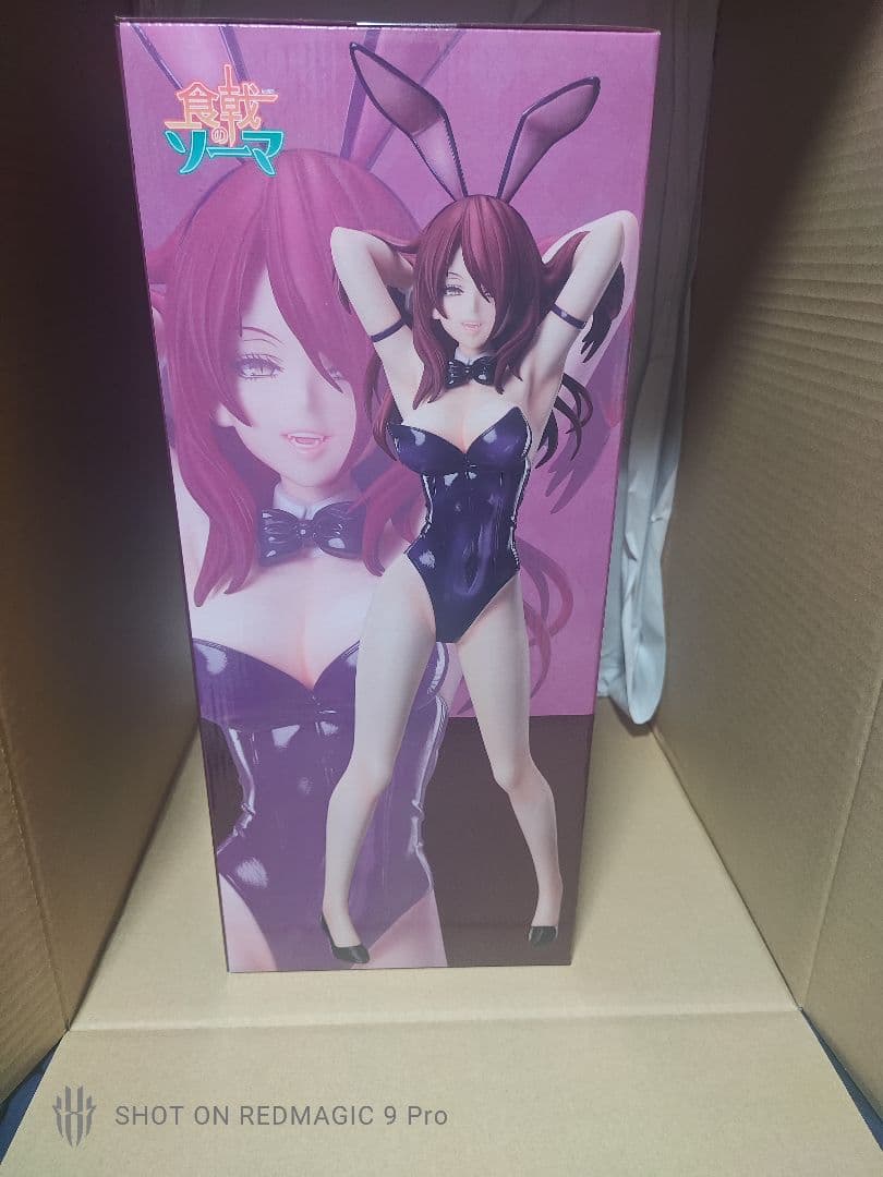 ポ*ポ様 食戟のソーマ　小林竜胆 バニー　フィギュア　2種　FREEing　1/