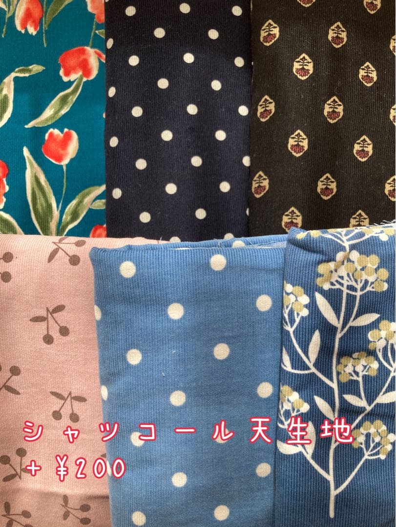 恋いちごワンピースのセットイントレーナー犬服 （胴回り33〜49センチ）