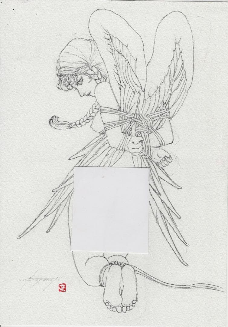 【blackninja様】緊縛天使8点