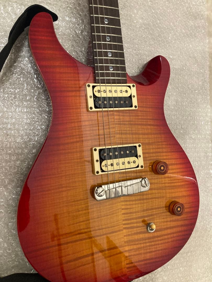 ギター Paul Reed Smith PRS SE Custom