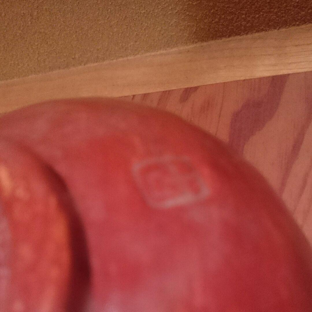 名品【銘 白雲】古門堂 赤楽茶碗 + 蓋置 安来 清水寺