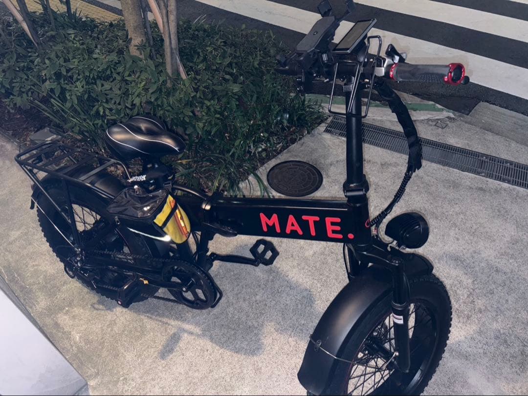 MATE風　電動アシスト自転車