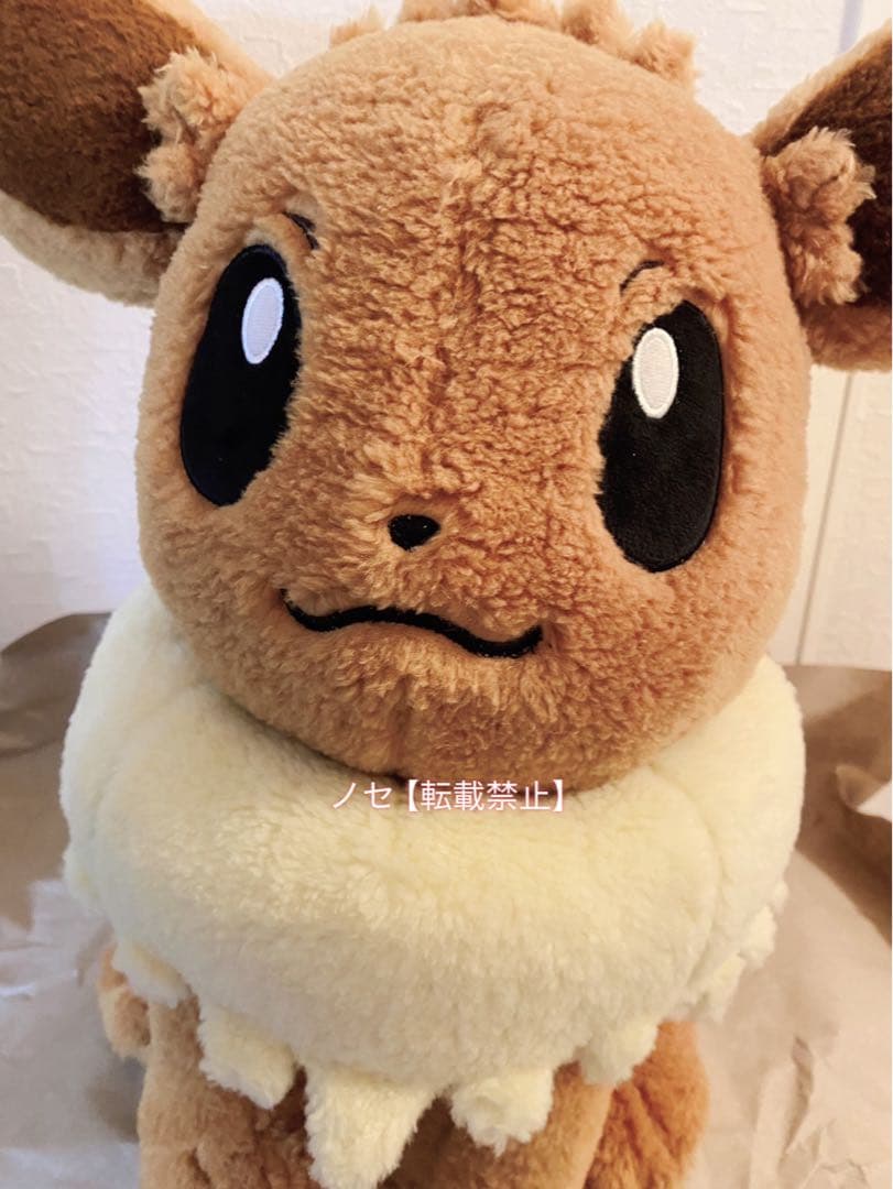 ポケモンセンター ピカピカボックス 2026 金 コイキング イーブイ