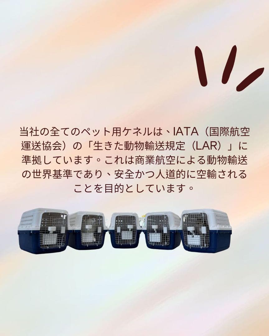 猫犬 ケージ クレート ペットパレス BB85 移住 お出かけ 輸送