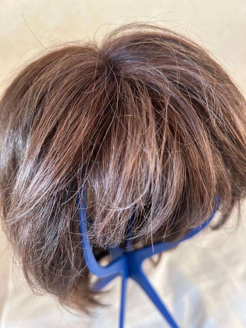 フォンティーヌ　フルウィッグ