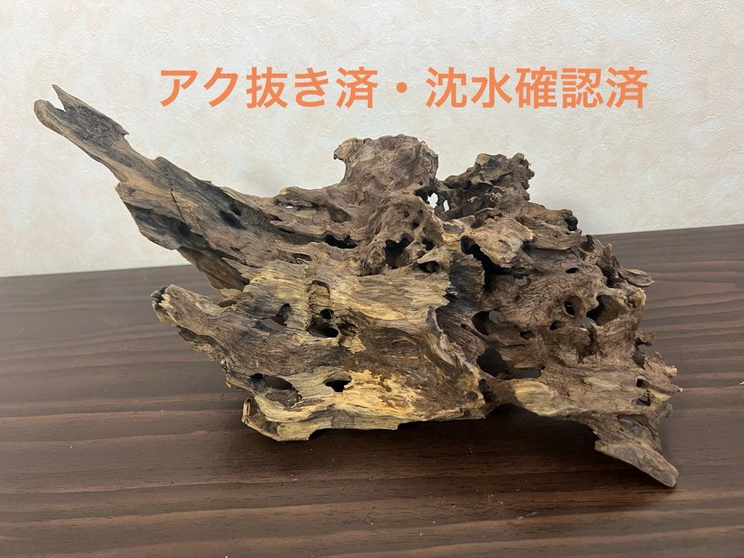 XM-307 流木　マシンガンウッド ブランチウッド　アクアリウム XM-446 流木 マシンガンウッド ブランチウッド アクアリウム - メルカリ