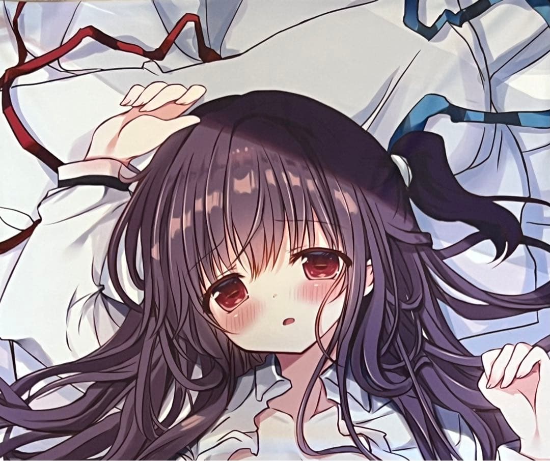 NOeSISグッズセット（同人誌、クリアファイル、抱き枕カバー、一部サイン入り）