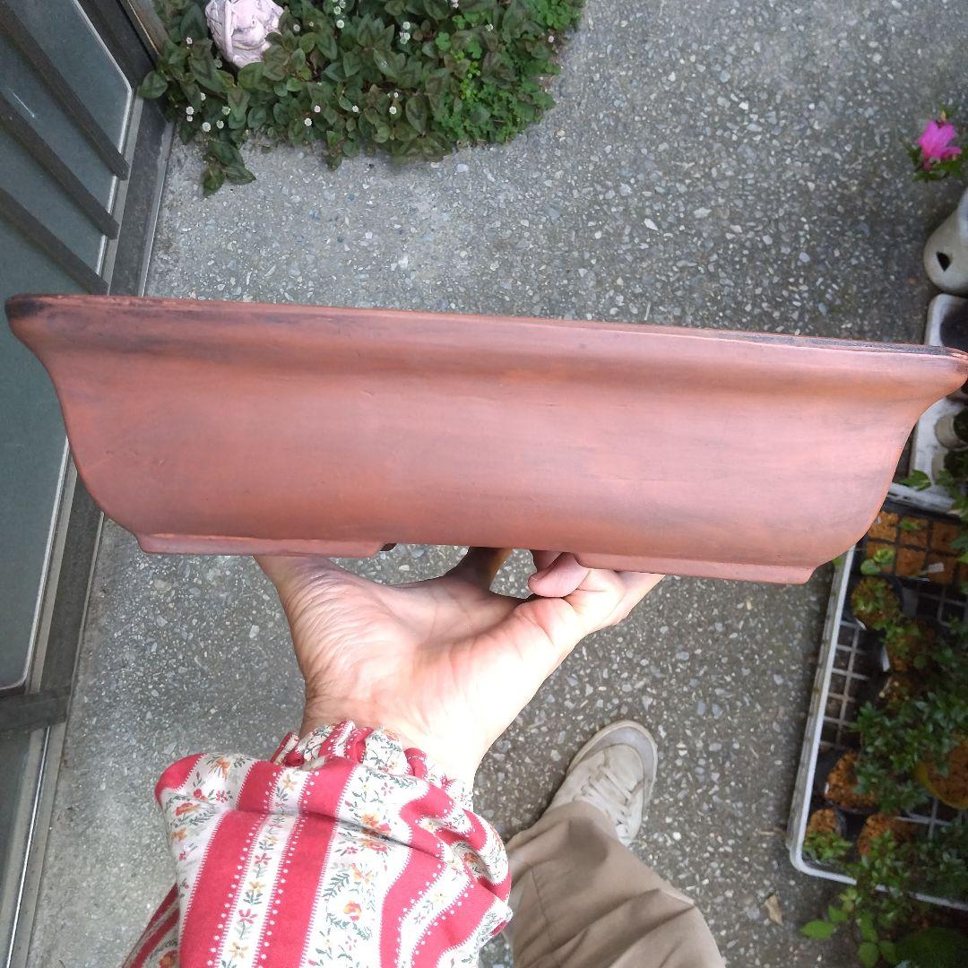 ミニ鉢、盆栽鉢、盆栽小鉢、鉢、植木鉢、山野草鉢、蘭鉢、盆栽