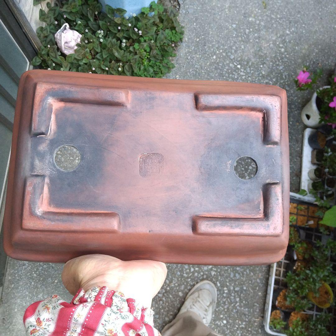 ミニ鉢、盆栽鉢、盆栽小鉢、鉢、植木鉢、山野草鉢、蘭鉢、盆栽