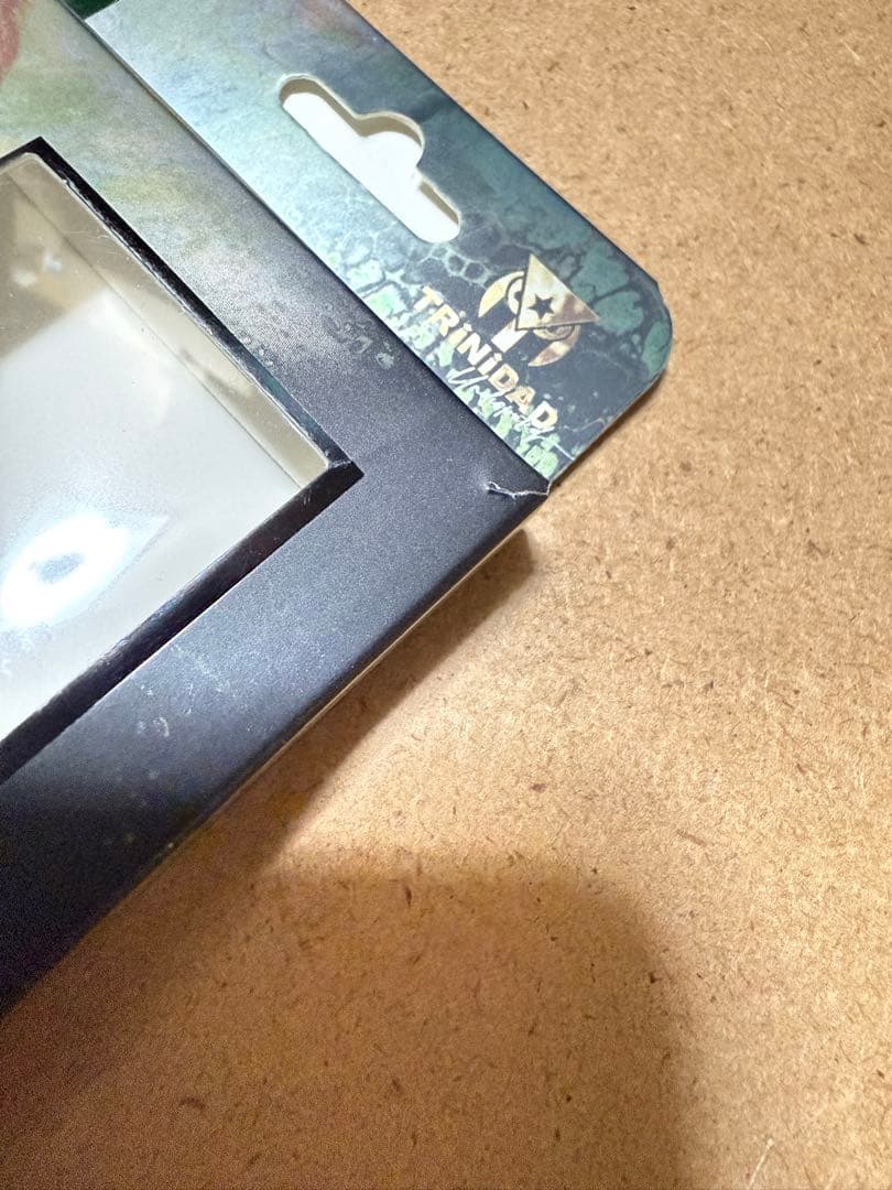 リカルド タイプ2 浅田斉吾選手