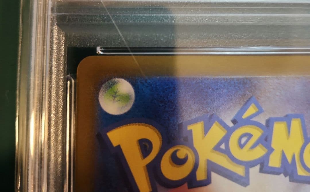 【PSA10】サンダースex SAR テラスタルフェス sv8a 209/187