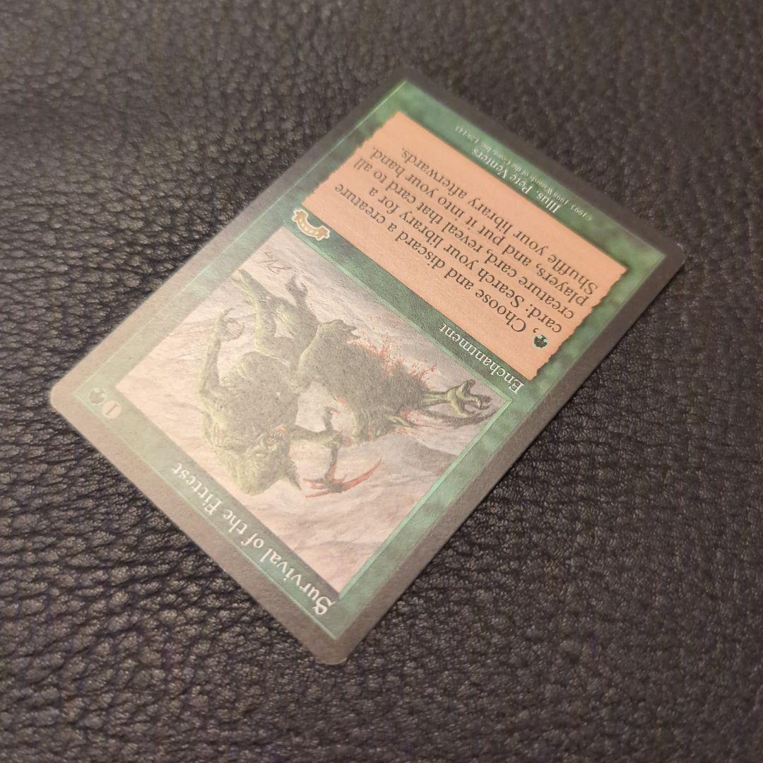 Survival of the Fittest 適者生存