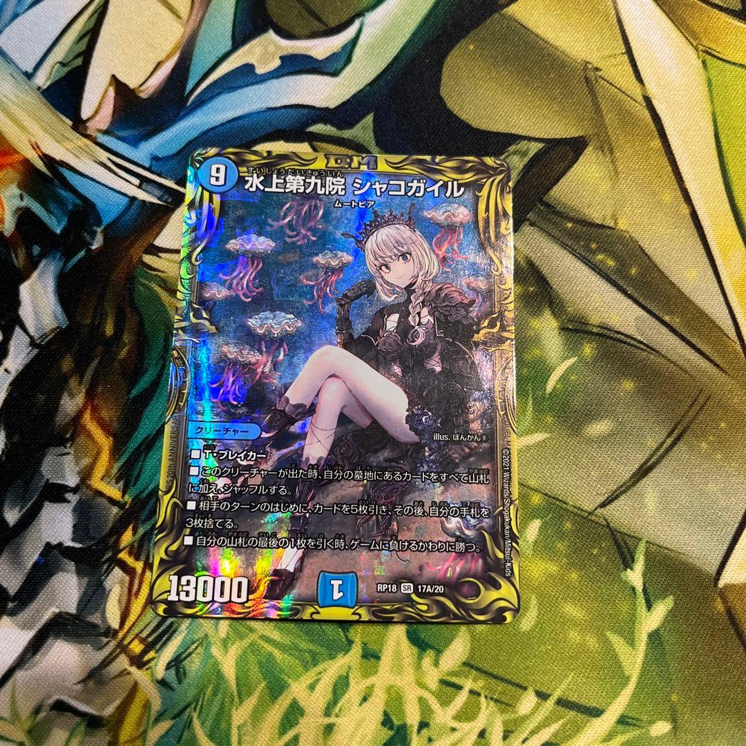 水上第九院 シャコガイル A