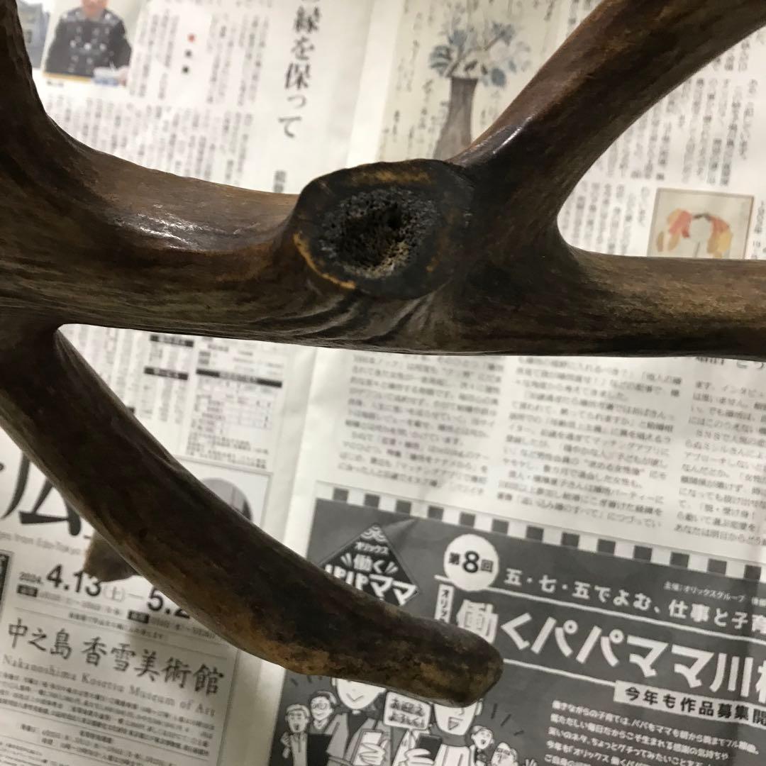鹿の角 超奇形 - メルカリ
