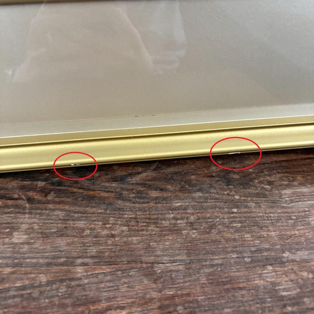 中島千波「ポインセチア」リトグラフ 直筆サイン・落款有 額縁入り