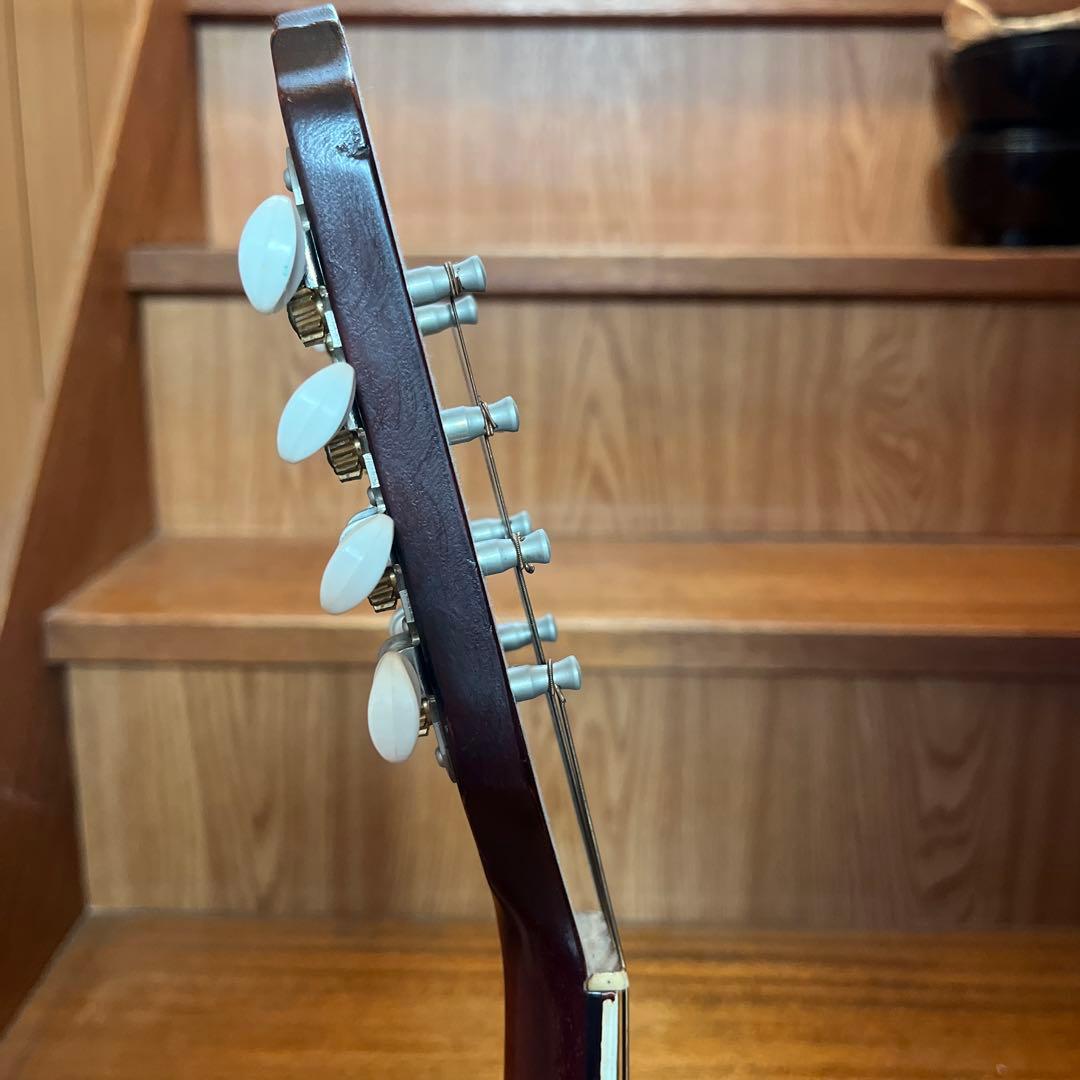 マンドリン　USA