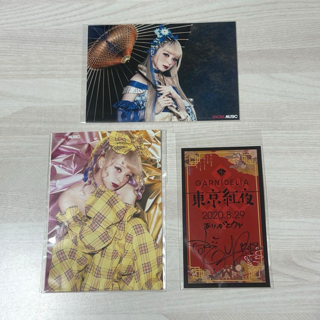 GARNiDELiA メイリア 美依礼芽 toku サイン入りチェキ GARNiDELiA