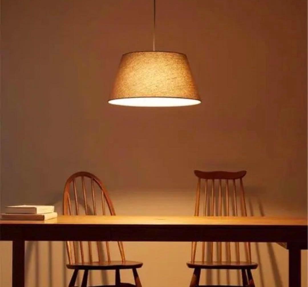 【美品】ARTWORKSTUDIO ペンダントライト　シャロー