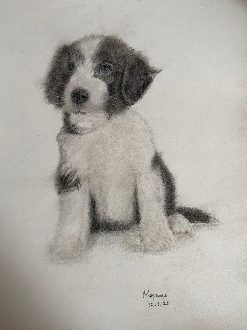 仔犬の色鉛筆画 仔犬の色鉛筆画 仔犬の色鉛筆画 鉛筆画】初めての鉛筆画【前編】14歳の