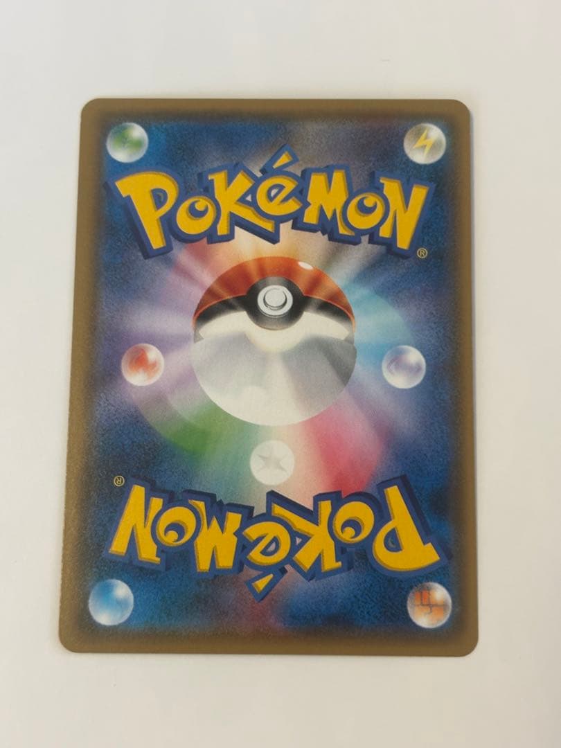 ミ*ル様 ポンチョを着たイーブイ　ブラッキー