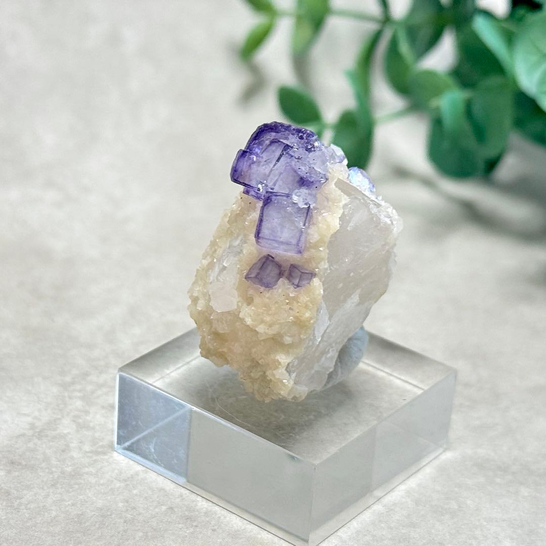 D194】ポーセリンフローライト Aタイプ ヤオガンシャン 原石 鉱物 標本