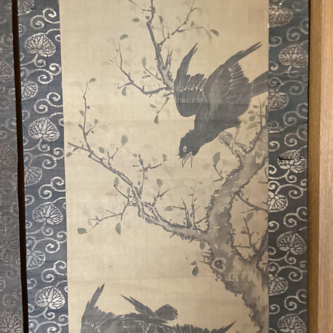 熊代熊斐 彩色画 絹本【花鳥画 叭 叭 鳥 双幅 】 肉筆画 保存箱