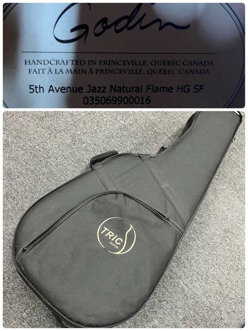 【11505】Godin Jazz HG SF ゴダン フルアコ