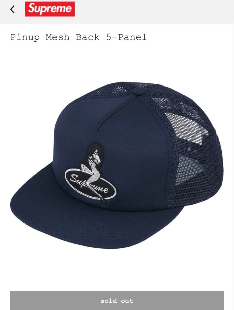 Supreme Pinup Mesh Back 5-Panel キャップ Supreme Pin Up Mesh Back