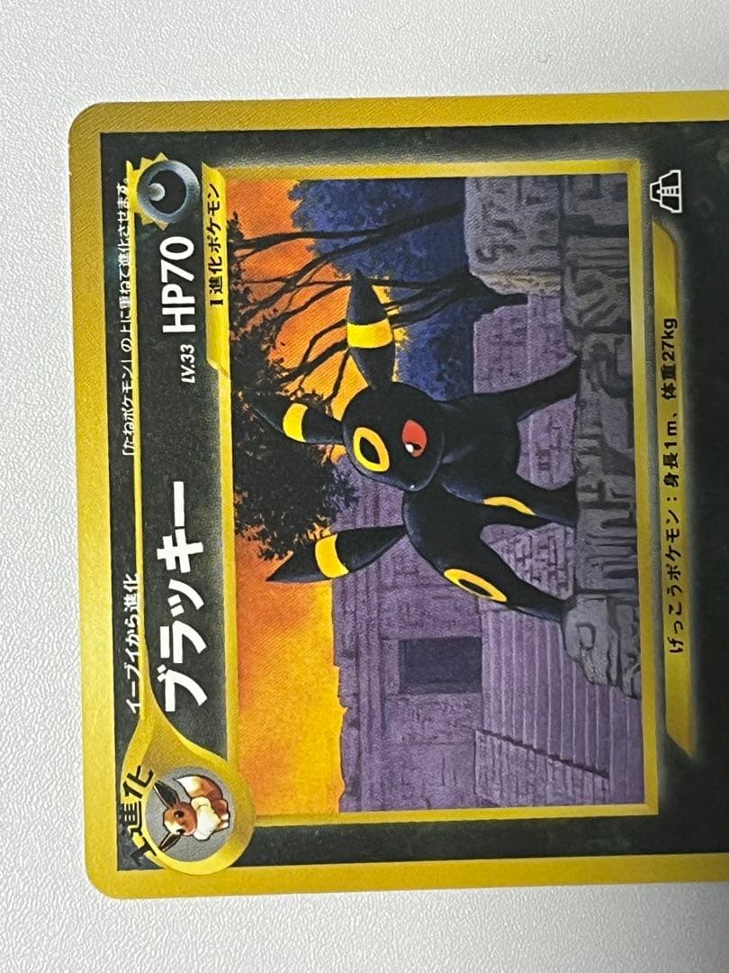 ポケモンカードneo ブラッキー 旧裏 プレミアムファイル 2 プロモ