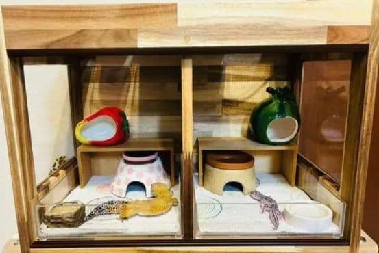 爬虫類ケージ レオパ ニシアフ アクリルケージ 爬虫類