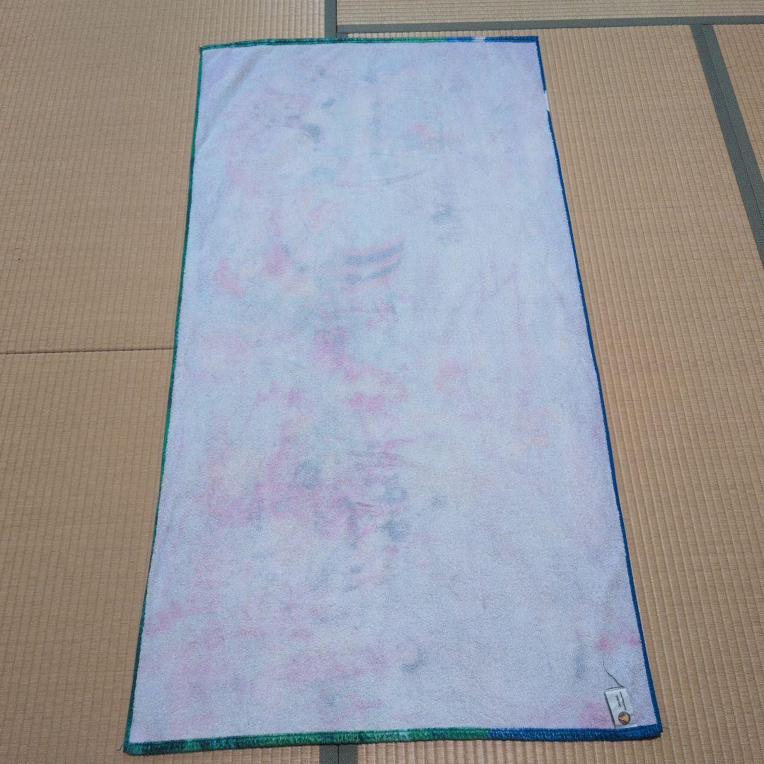 ディズニーワールド　タオルケット3枚セット