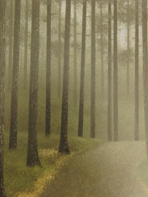 小泉智英、【木洩日】、希少な額装用画集より、新品額装付、状態良好